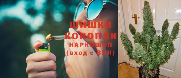 бошки Алексин
