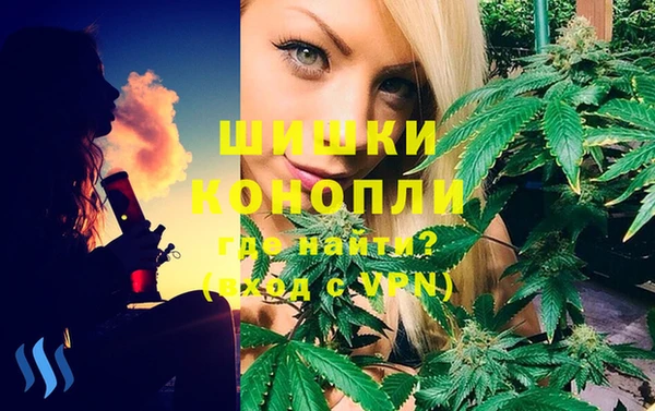 дмт Алзамай